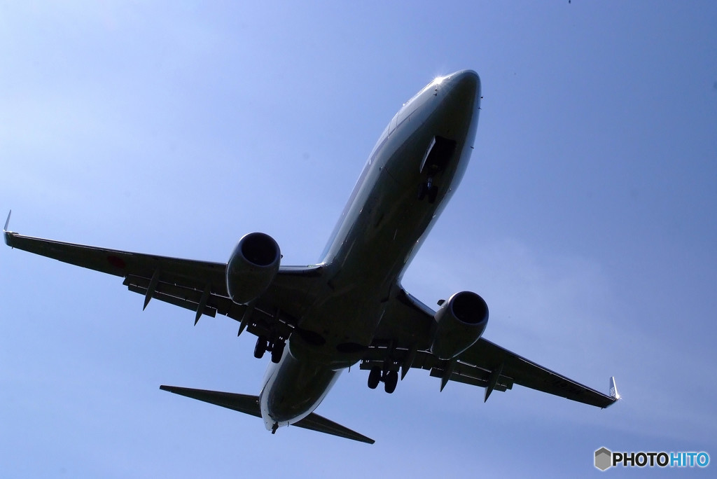 聖地の空より・Wing✈