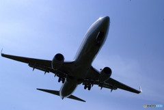 聖地の空より・Wing✈