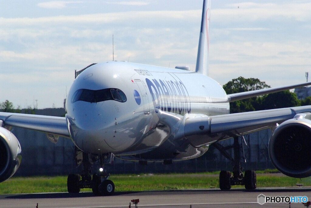 Sunday morningⅥ✈JA15XJ