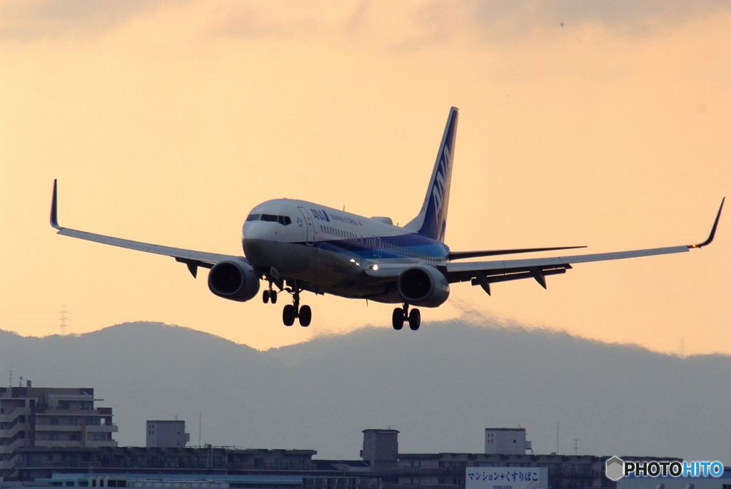 Morning ShotⅢ・737 