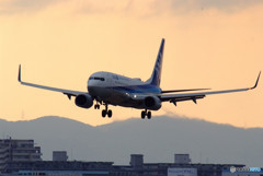 Morning ShotⅢ・737 