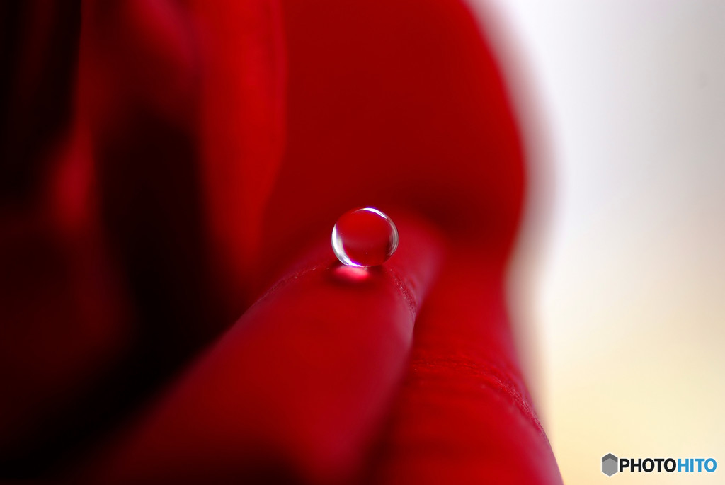 追憶の紅