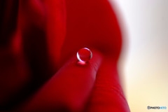 追憶の紅