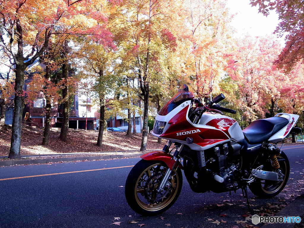 HONDA REDと紅葉2021