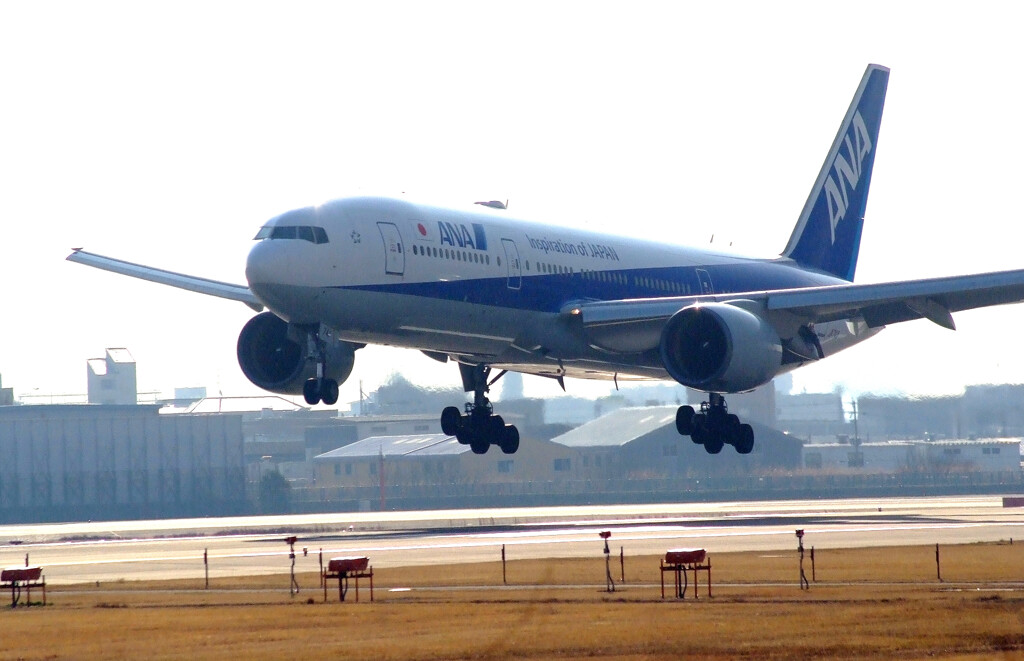 雛月の翼★Boeing777-200