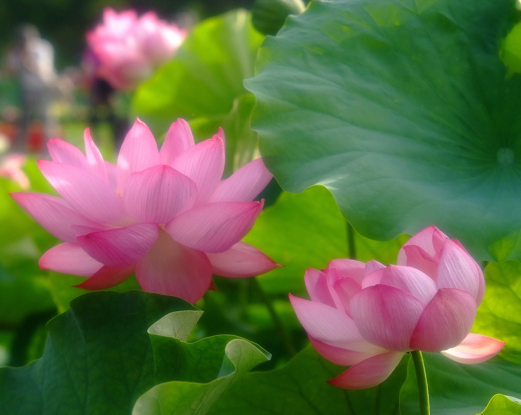 二人ならきっと・・・