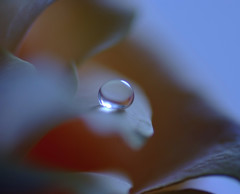 時間（とき）・雫