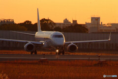 静寂✈HARADA Magic