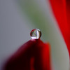 心の鏡・雫