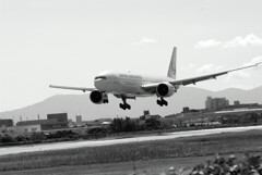 B/Wの世界✈秋Boeing777-300