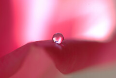 時の雫✿出会い