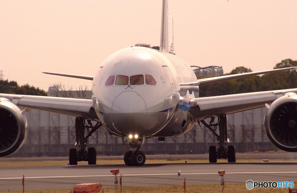 春色の誘惑★787-8 Dreamliner 