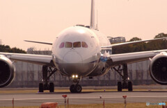 春色の誘惑★787-8 Dreamliner 