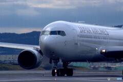 April Afternoon Ⅲ★Boeing 767