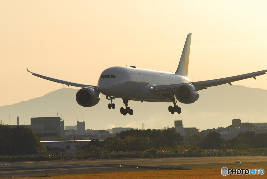 December MorningⅣ✈Boeing787-8