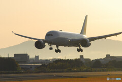 December MorningⅣ✈Boeing787-8