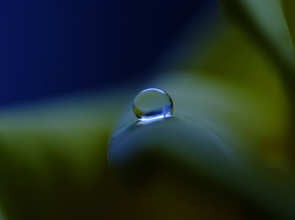 如月の惑星・雫（Ⅱ）