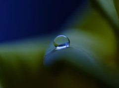 如月の惑星・雫（Ⅱ）