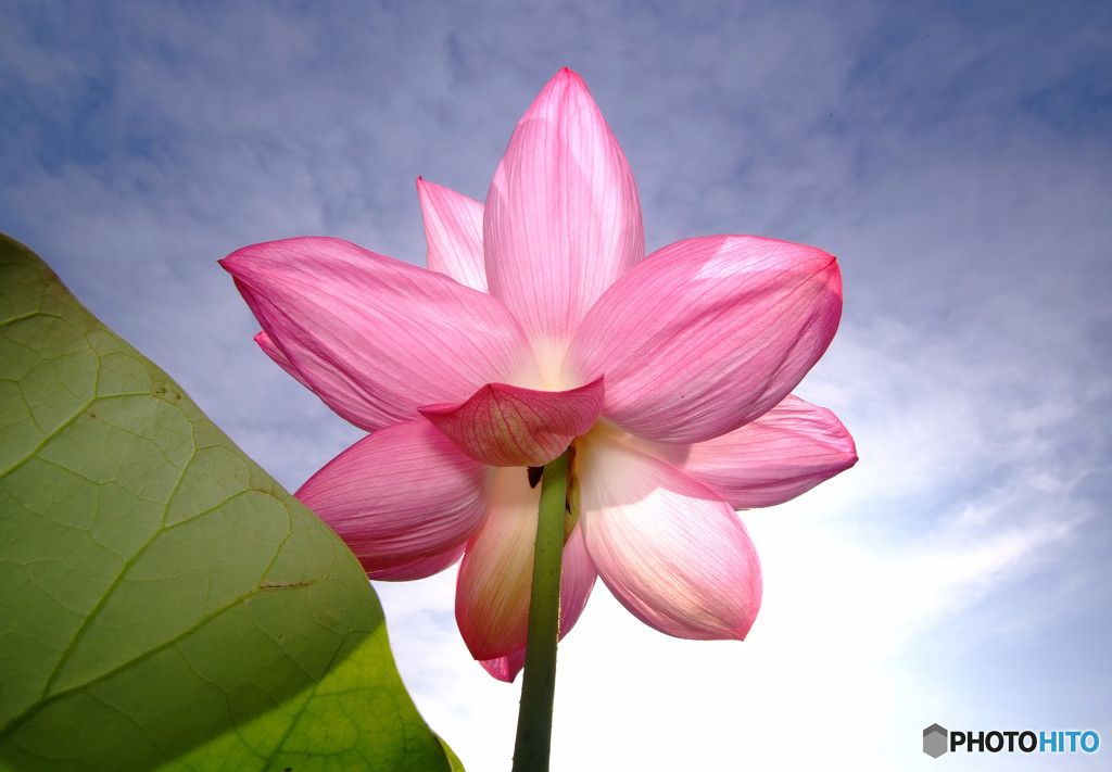 雨にも負けず・風にも負けず