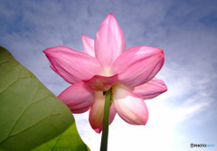 雨にも負けず・風にも負けず