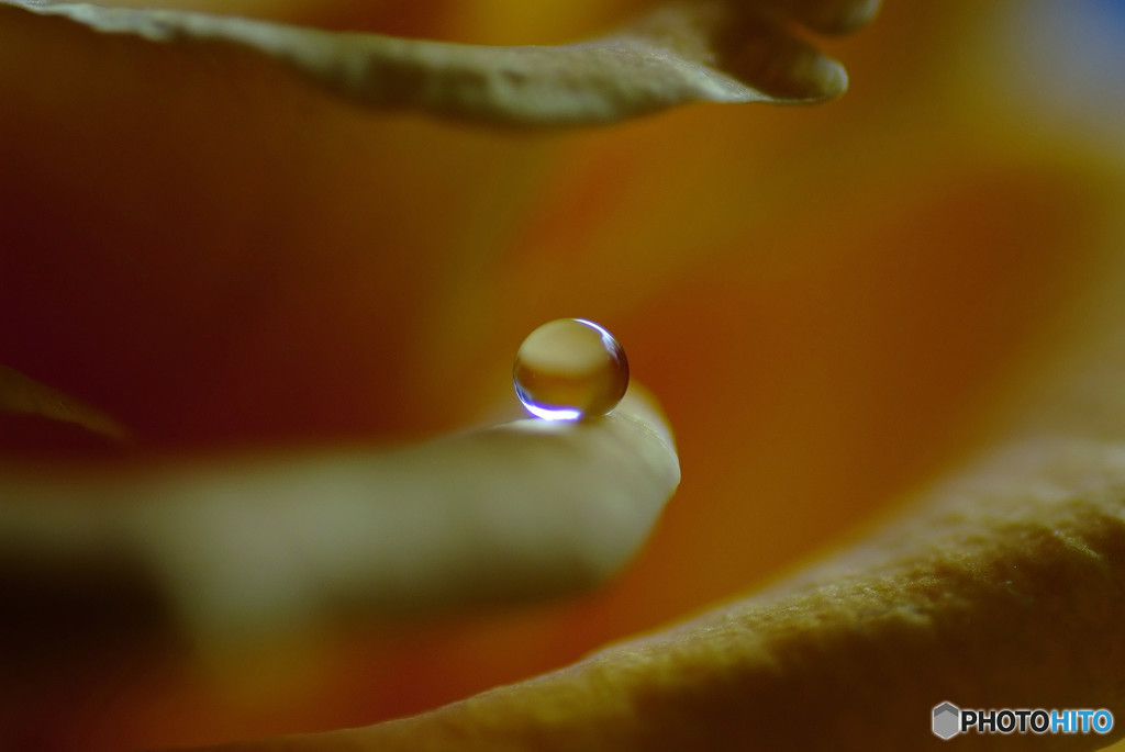 小さな思い出・雫