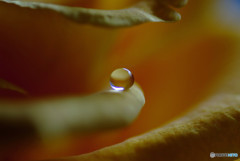 小さな思い出・雫