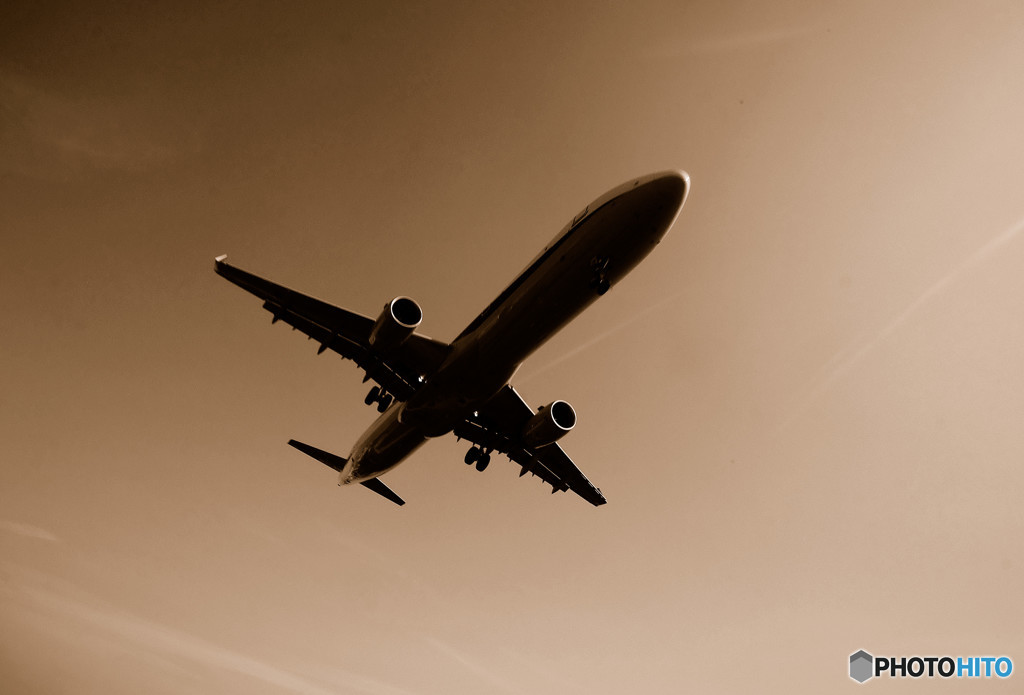 終わらない夏・2018