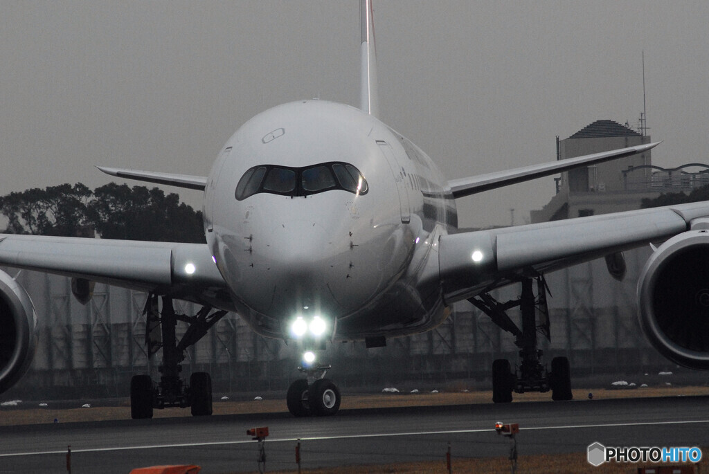 January morningⅢ✈JA16XJ