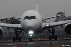 January morningⅢ✈JA16XJ