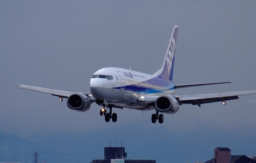 Welcome Osaka★Dolphin