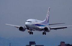 Welcome Osaka★Dolphin