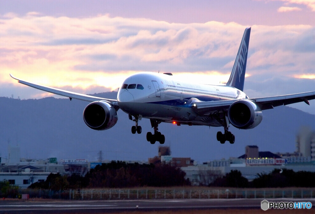 December Beauty★787-8