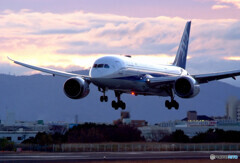 December Beauty★787-8