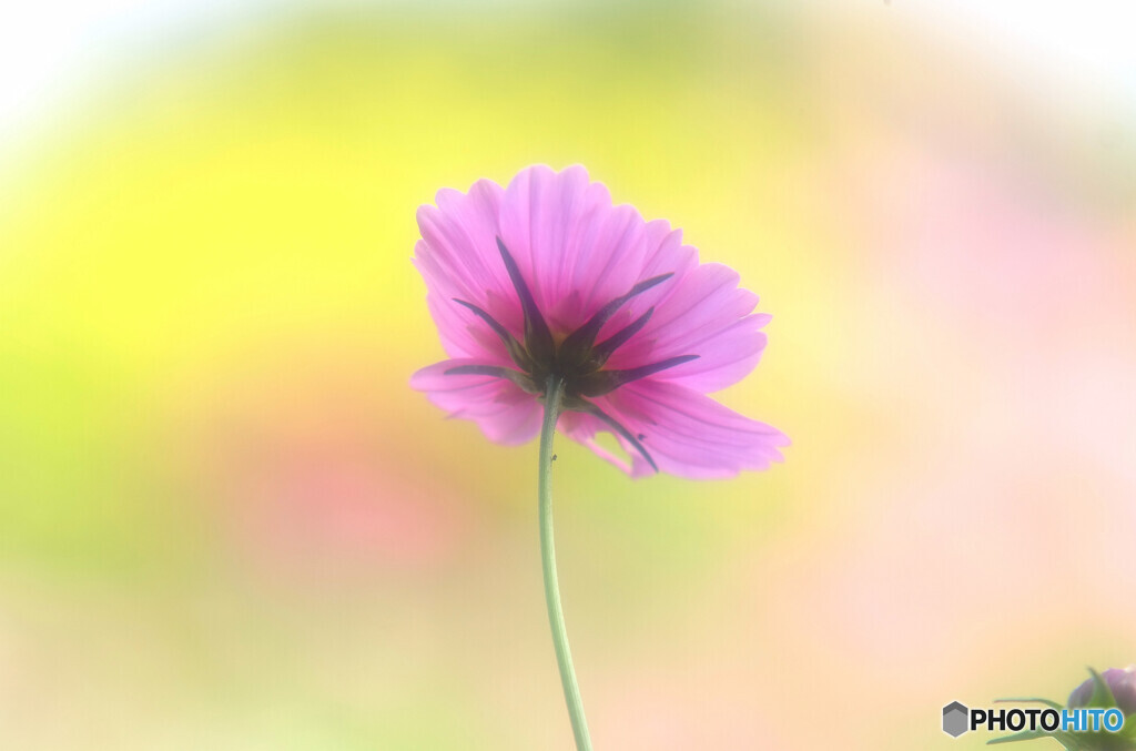 Endless Autumn・美