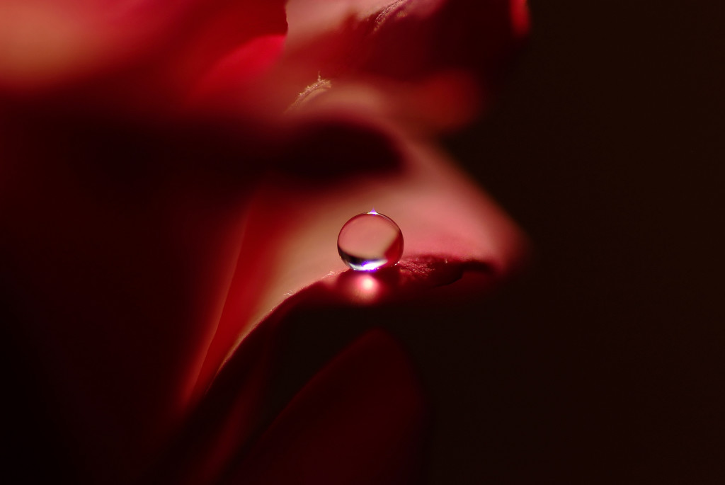 輝きを忘れずに・雫