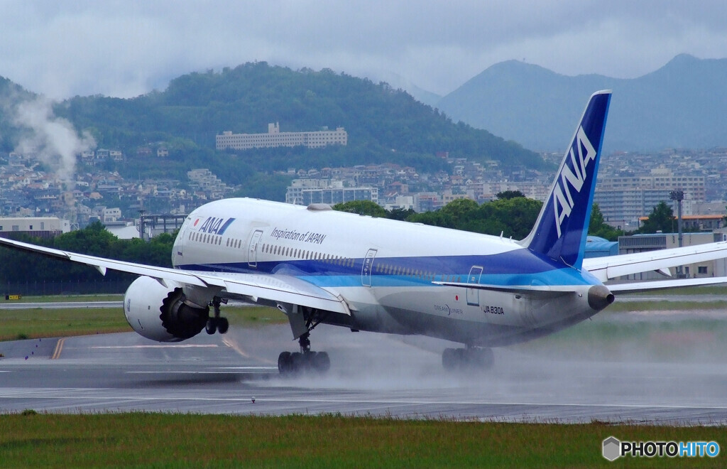 雨上がりのSky Park Ⅱ✈Dreamliner