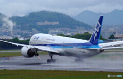 雨上がりのSky Park Ⅱ✈Dreamliner