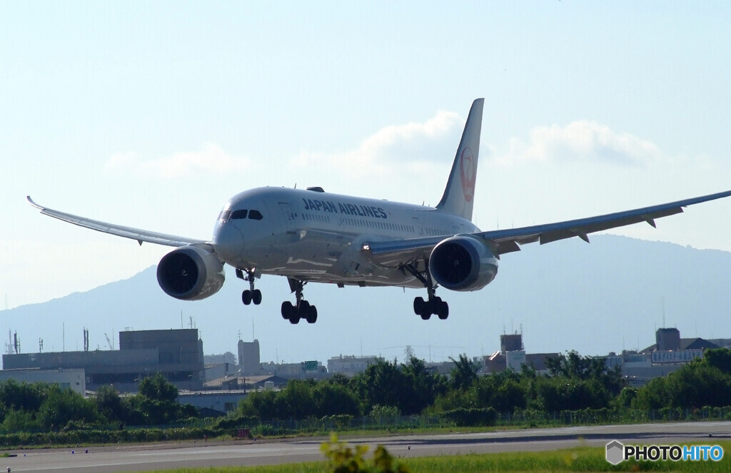 男の紋章Ⅴ✈2024夏