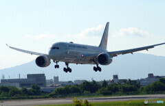 男の紋章Ⅴ✈2024夏