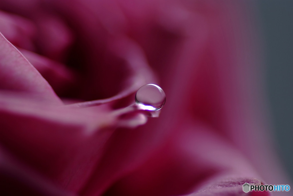 小さな祈り・葉月