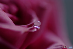 小さな祈り・葉月