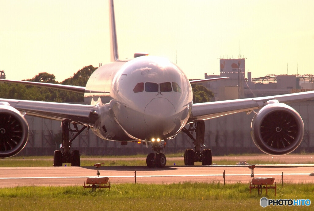戦士の休息・秋✈Dreamliner