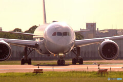戦士の休息・秋✈Dreamliner