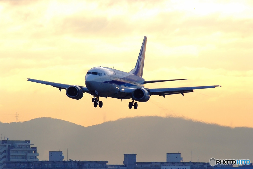 永遠の翼・Dolphin