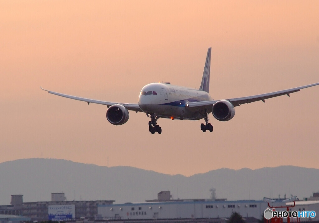 Harada Magic✈787