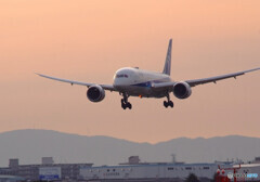 Harada Magic✈787