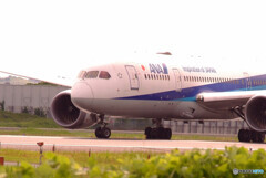 Reborn✈伊丹の空へ