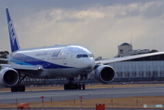 Sunday in FebruaryⅤ☆Boeing777-200