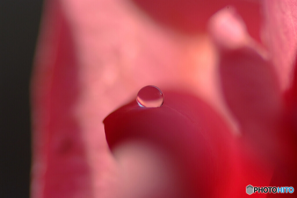 Mysterious Eyes❁夢