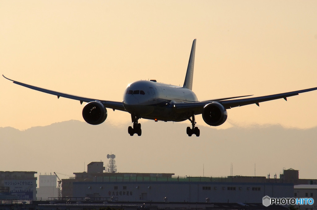 魅せられて・787